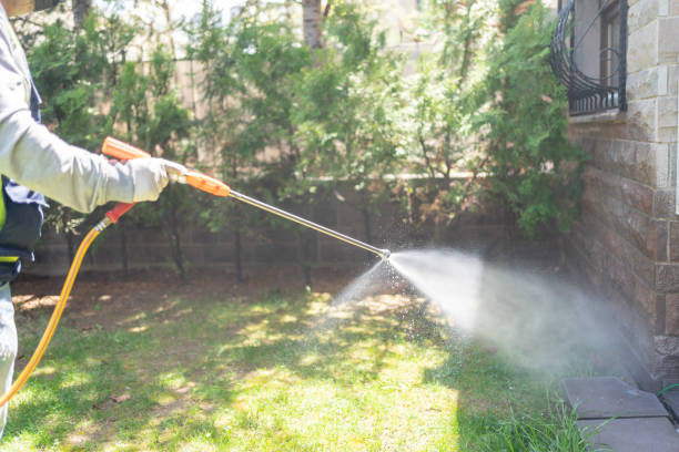 Best Mosquito Control Services  in Champaign, IL