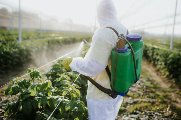 Insect Control in Champaign, IL